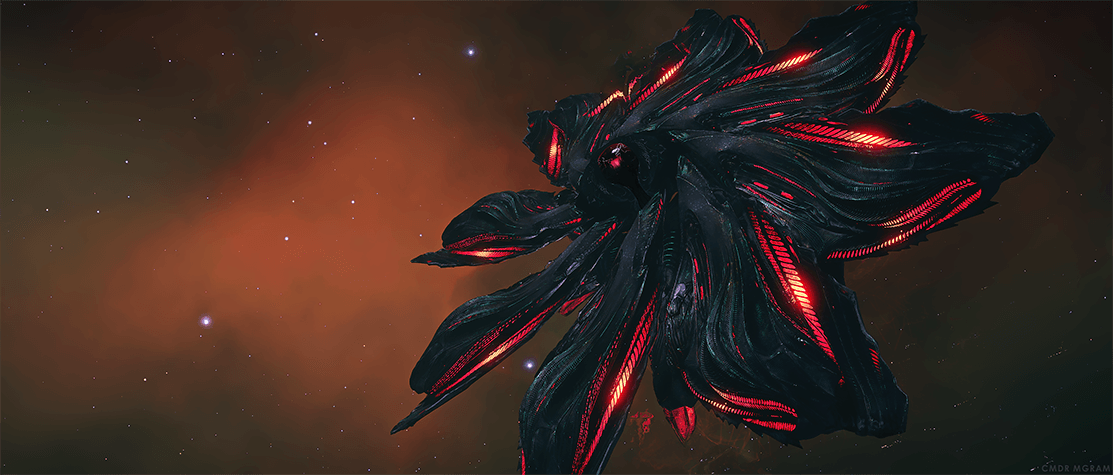 Anti-Paywall Initiative